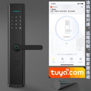拉盯智能鎖完美對接涂鴉智能 涂鴉智能鎖做一個