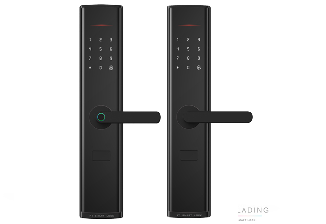 智能公寓民宿智能公租房專用智能鎖涂鴉智能W